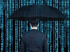 DDL cybersicurezza, pugno duro contro le truffe su Internet e uso dati biometrici per l'accesso a banche dati della PA