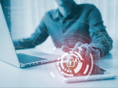 Tra le novità del Digital Services Act una figura per identificare contenuti illegali che circolano in rete e denunciarli