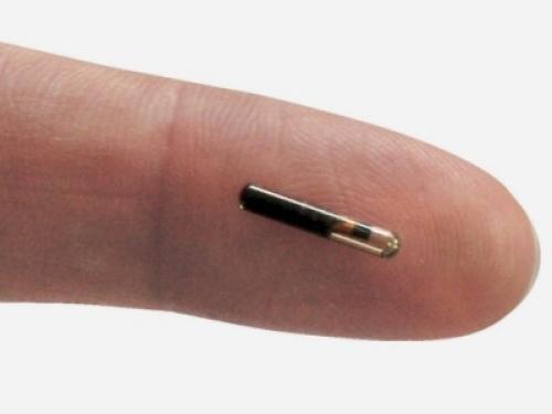 Svezia, boom di richieste per il microchip sottocutaneo, ma i sindacati sono sul piede di guerra