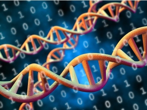 Regno Unito: sanzione per violazione della privacy da 2,7 milioni di euro ad una società specializzata nei test genetici