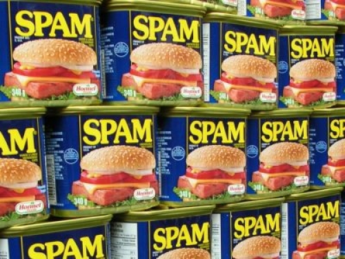 Cosa è lo 'spamming'?
