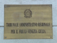 Trasparenza amministrativa, il riesame interno sul diritto di accesso non rappresenta un passaggio necessario per accedere alle successive forme di tutela