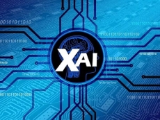 L'AI spiegabile (XAI) è un insieme di metodi e processi che consentono di mitigare i rischi sulla privacy.